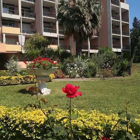 Aurelia City Garden *
