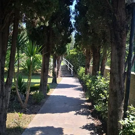 Aurelia City Garden *