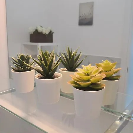Apartament Aurelia City Garden